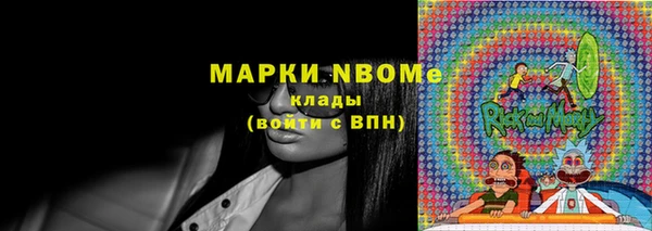 индика Беломорск