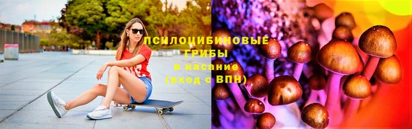 спайс Баксан