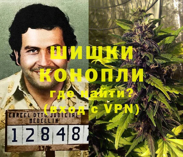 прущие грибы Балахна