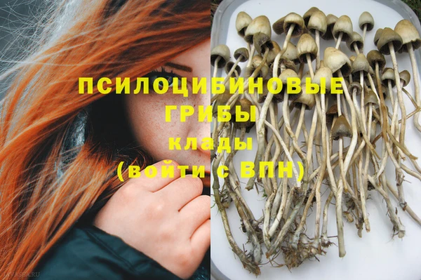 прущие грибы Балахна