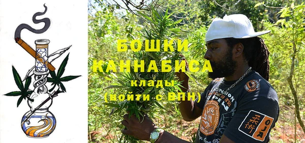 прущие грибы Балахна