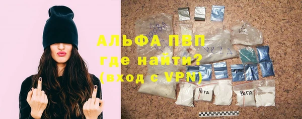 прущие грибы Балахна
