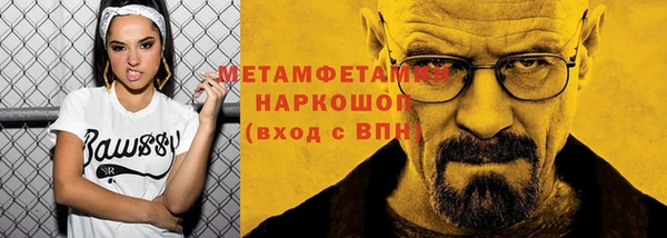 индика Беломорск