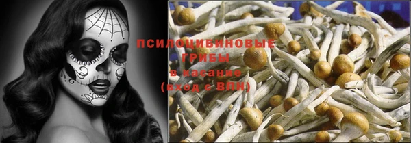 спайс Баксан