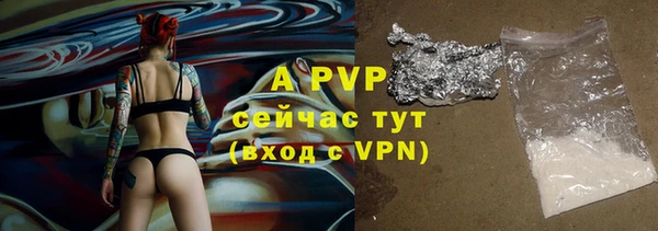 индика Беломорск